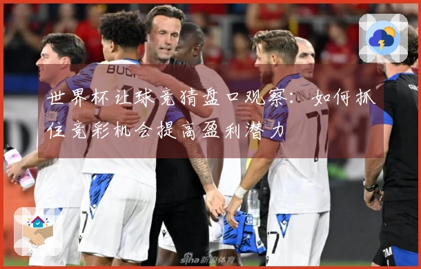 世界杯让球竞猜盘口观察：如何抓住竞彩机会提高盈利潜力