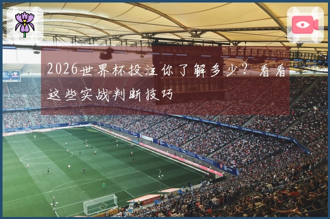 2026世界杯投注你了解多少？看看这些实战判断技巧
