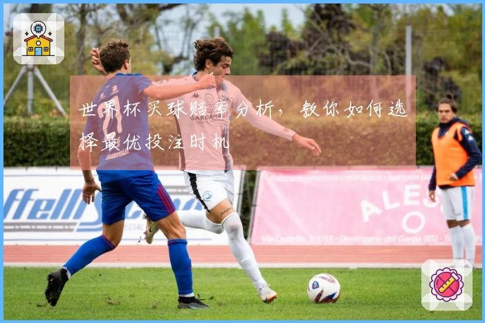 世界杯买球赔率分析，教你如何选择最优投注时机
