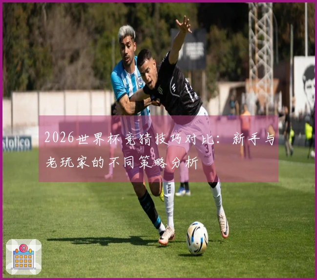 2026世界杯竞猜技巧对比：新手与老玩家的不同策略分析