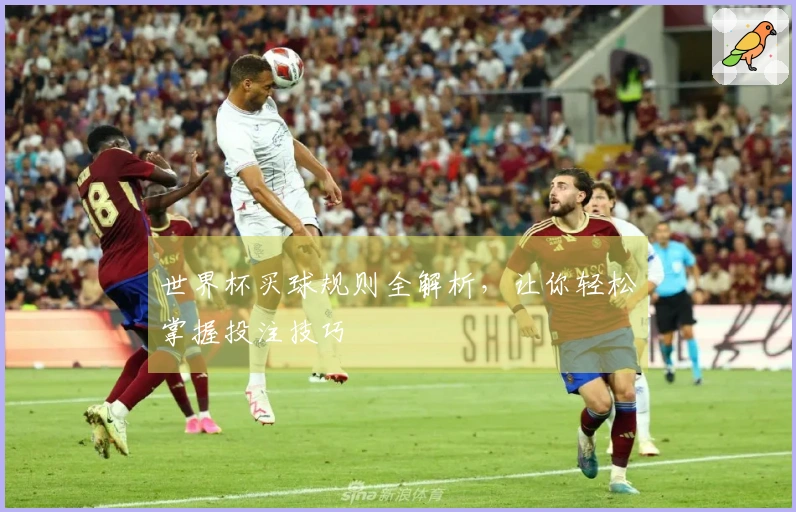 世界杯买球规则全解析，让你轻松掌握投注技巧